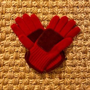 Cashmere & Suede Gloves